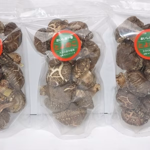 乾椎茸　肉厚どんこ２Pと小粒しいたけ１Ｐ（１００ｇ入り３袋）