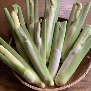 【期間限定】完全【自然】栽培のマコモダケ