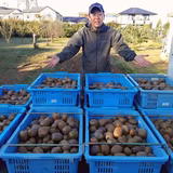 吉野 均（よしの園🥝中の人）