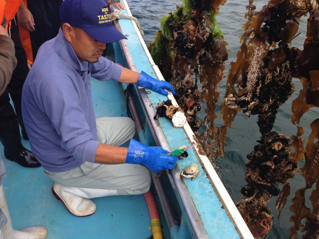 12697238_885081568255717_8674414369843720756_o