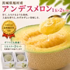 【令和5年品質優良賞受賞】茨城県産 アンデスメロン１玉×2