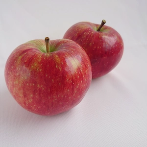 長野県専売リンゴ『シナノリップ』3㎏サイズ箱（6～12玉）