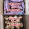 【鹿児島産】甘塩新玉ねぎ1.5キロ・甘塩サツマイモ1.5キロ^_^