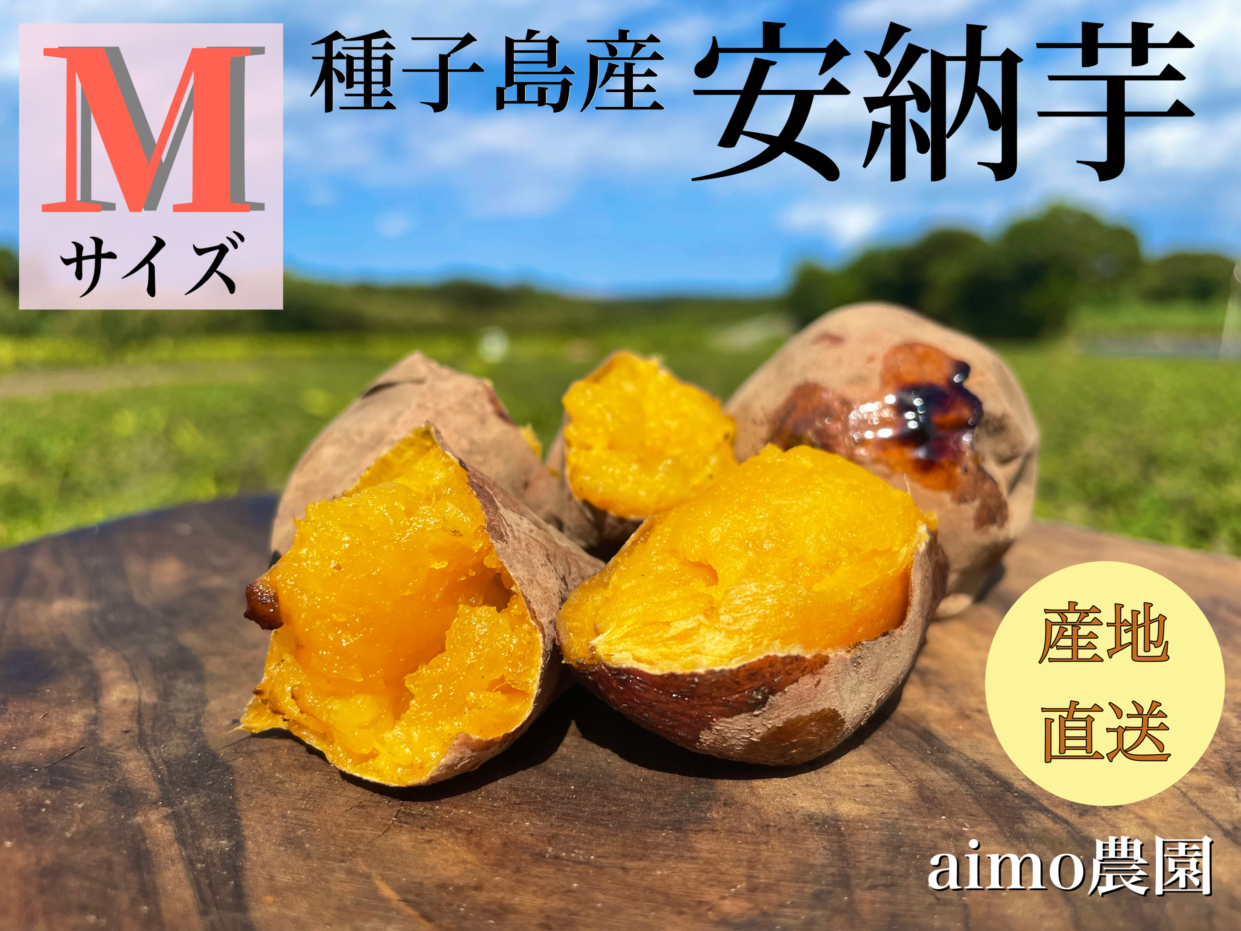 絶品】種子島産 安納芋 Mサイズ｜aimo農園｜さつまいもの商品詳細