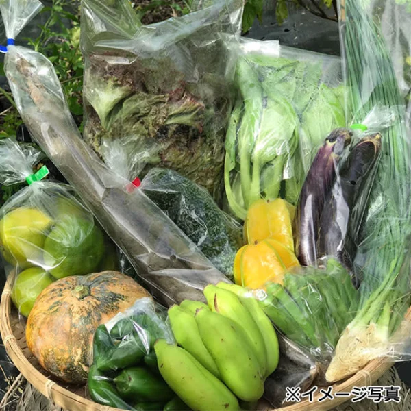 沖縄産無農薬野菜セット（S）80サイズ