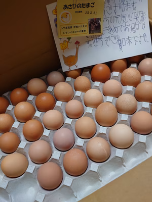 みんなの投稿の画像