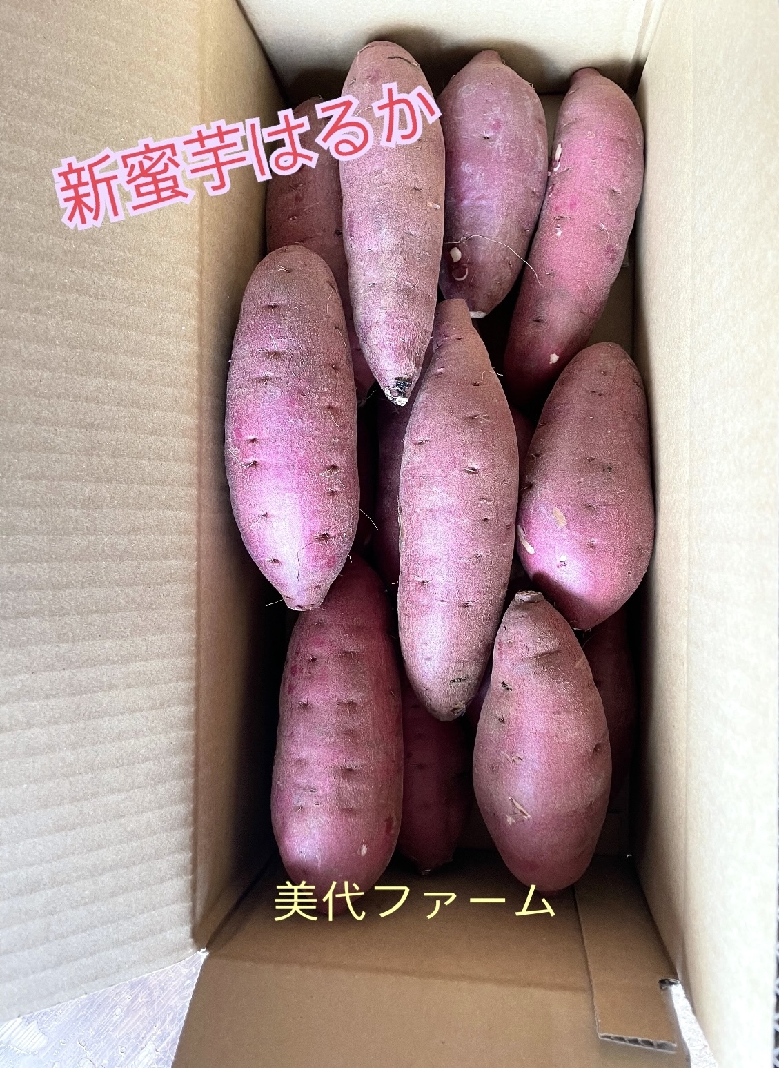 体験商品】】紅はるかA品3kg千葉県産農家直(S・M混合)｜さつまいもの