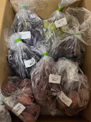 みんなの投稿の画像