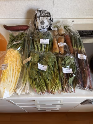 みんなの投稿の画像