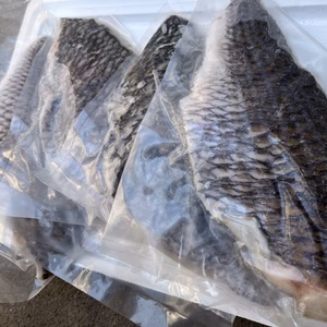 【冷凍】黒鯛　1kg
