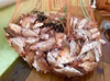お試し！秋田のお魚詰め合わせセット！