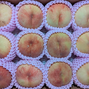 桃あかつき12玉