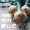 子どもたちがパクパク食べちゃう⭕淡路島⭕幻の冬の新たま