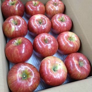 山形県産♡りんご♡シナノスイート♡シャキシャキ！あま〜い