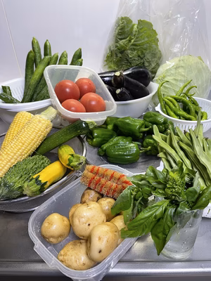 みんなの投稿の画像