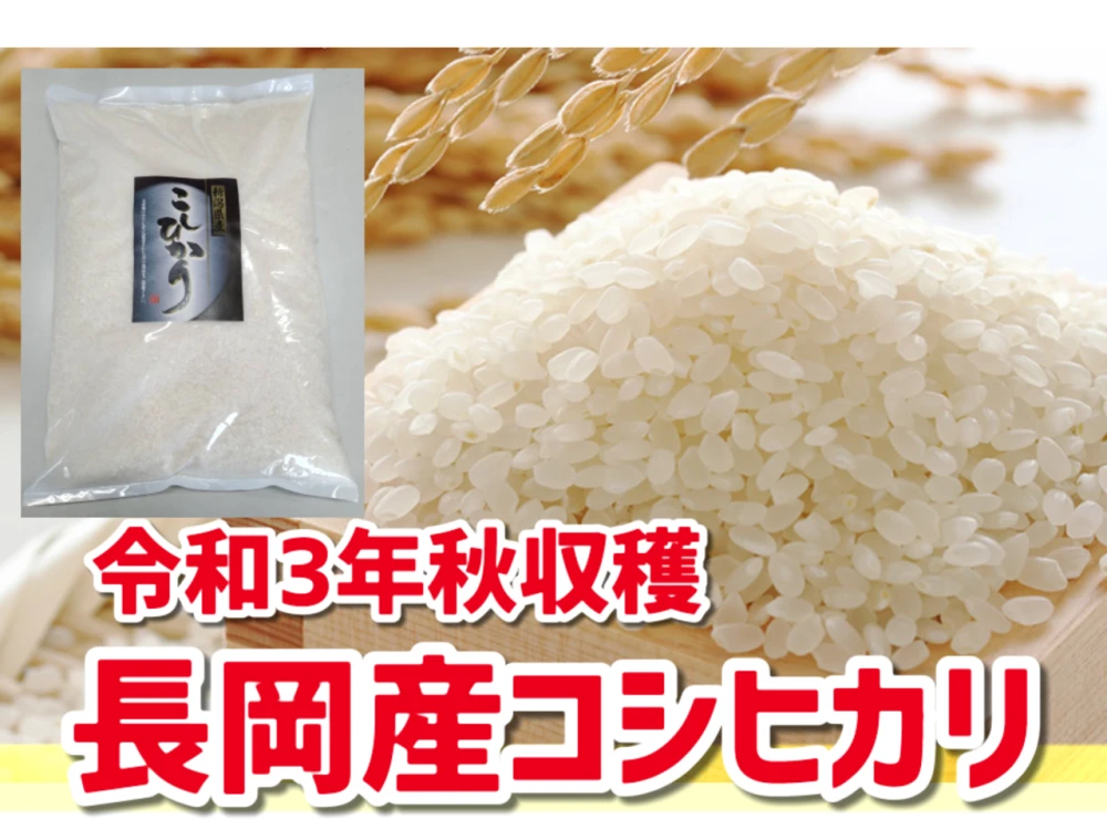 コシヒカリ　米/穀物　令和3年　新米