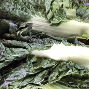 無添加　漬物　5点セット　　（沢庵　古漬け　梅干し　らっきょう　高菜漬け）