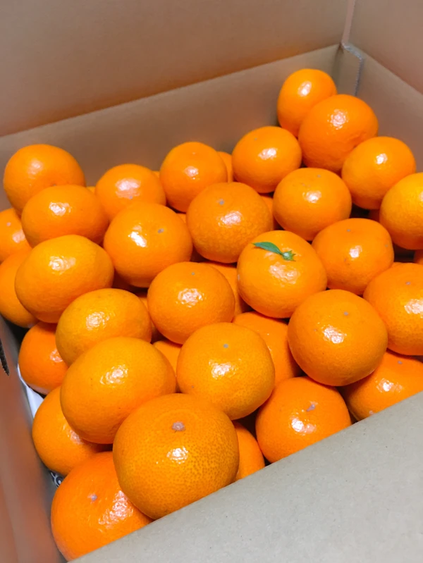 5643