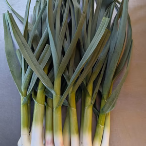 蒜苗（葉にんにく）