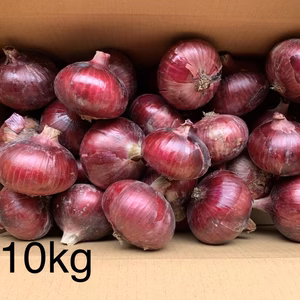 玉ねぎ大国淡路島からのレッドオニオン約10キロ‼️