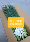 【サンプル】ねっこ農園青ネギ