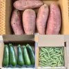 サツマイモ500g・ズッキーニ500g・スナップ500g