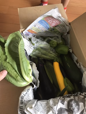 みんなの投稿の画像