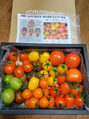 みんなの投稿の画像