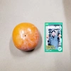 農カード付き【本場・岐阜県産】お買い得用・富有柿 Mサイズ