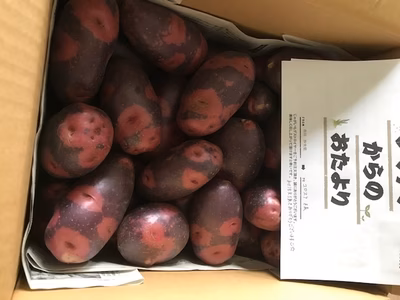 みんなの投稿の画像