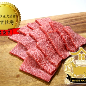 【佐賀牛赤身肉】トップクラス佐賀牛A5ランク　赤身焼肉用(500g)