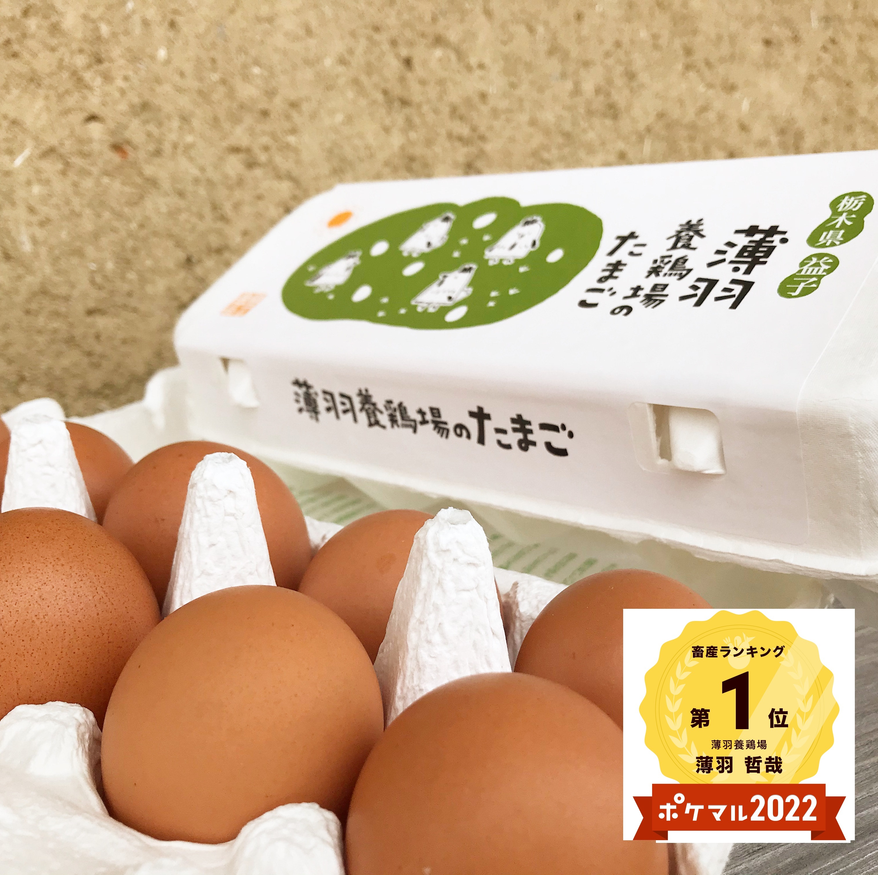 ハイクオリティ 販売期間2023 08 08まで 卵 鶏卵 期間限定特売 産地直送