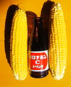 とうもろこし【ゴールドラッシュ】【小】10本