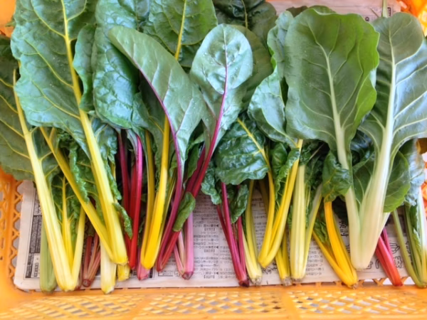 有機スイスチャードバラ詰め1kg（有機JAS認証・J-GAP認証）