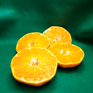 マドンナ＆甘平　食べくらべ