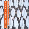 ぷりぷり新物★ヤリイカ一夜干し 【中サイズ】