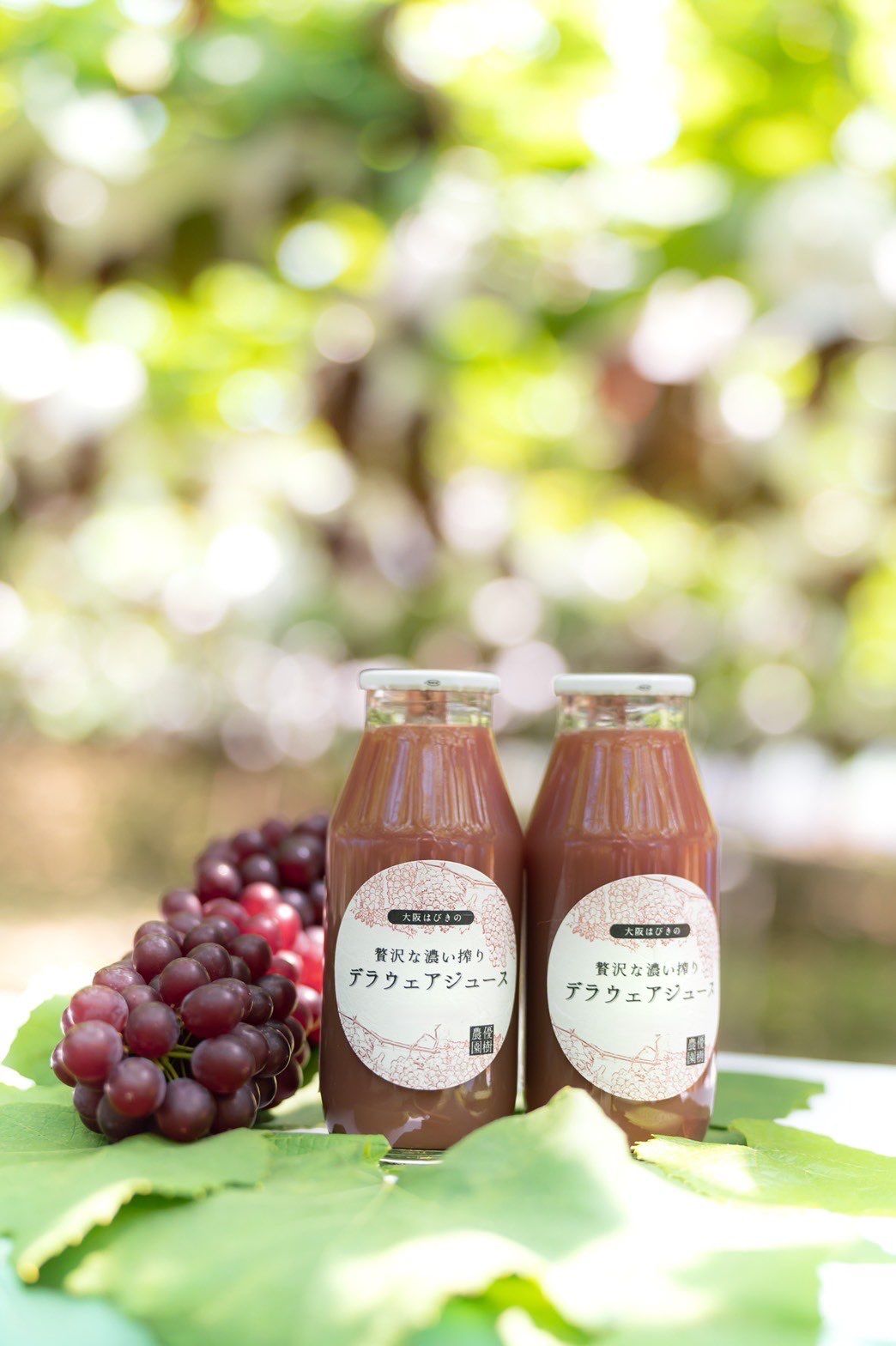 大阪府羽曳野市｜優樹農園｜真銅 慧さんのみんなの投稿｜ポケット