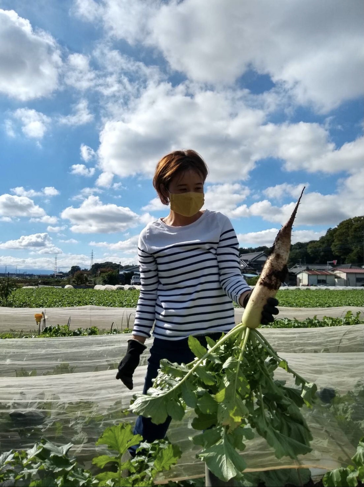 埼玉県川越市｜たばちゃん農園｜田畑 桃代さんの生産者プロフィール