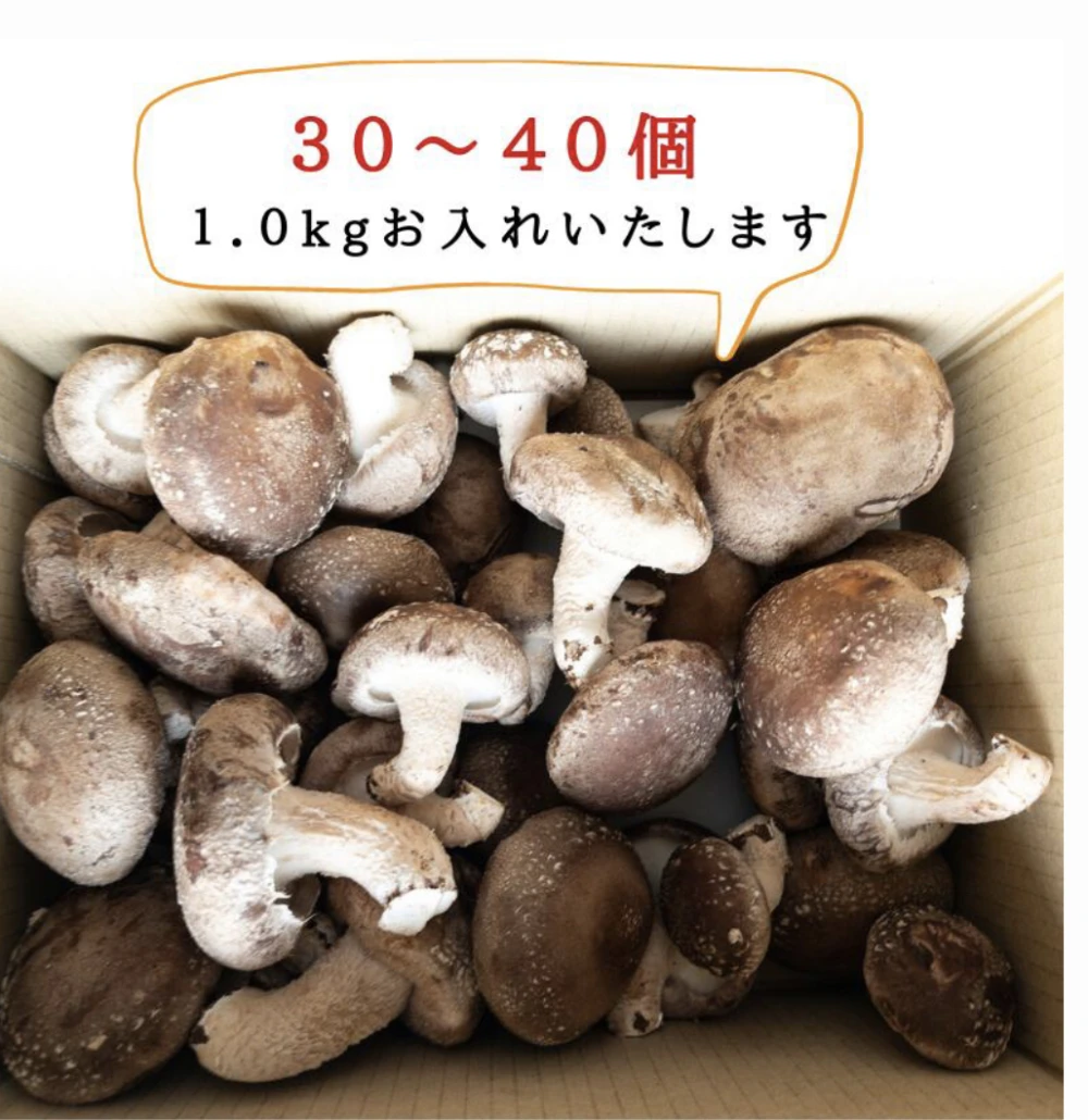 クール便発送　徳島県産　小中サイズ椎茸1キロ 