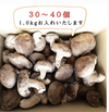 クール便発送　徳島県産　小中サイズ椎茸1キロ 