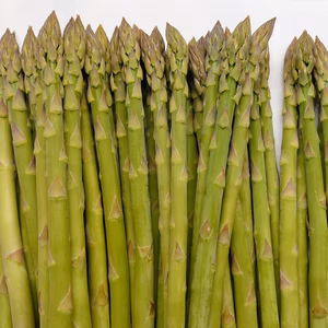 庄内のアスパラ　1kg　Ｌサイズ