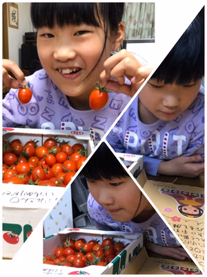 みんなの投稿の画像