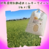 Pino farm「弾む、雪肌もち米」～R7年産特別栽培米　ミルキークイーン～