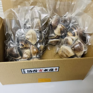 液体冷凍はまぐり　1個80-100g   約500g×1p～