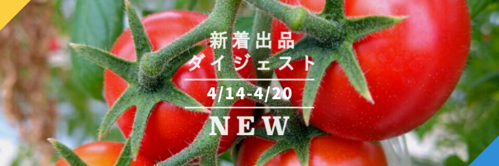 送料無料商品の通販 岡山県産 果てしなく 1 農薬不使用 5株100本 九条ネギの苗 野菜