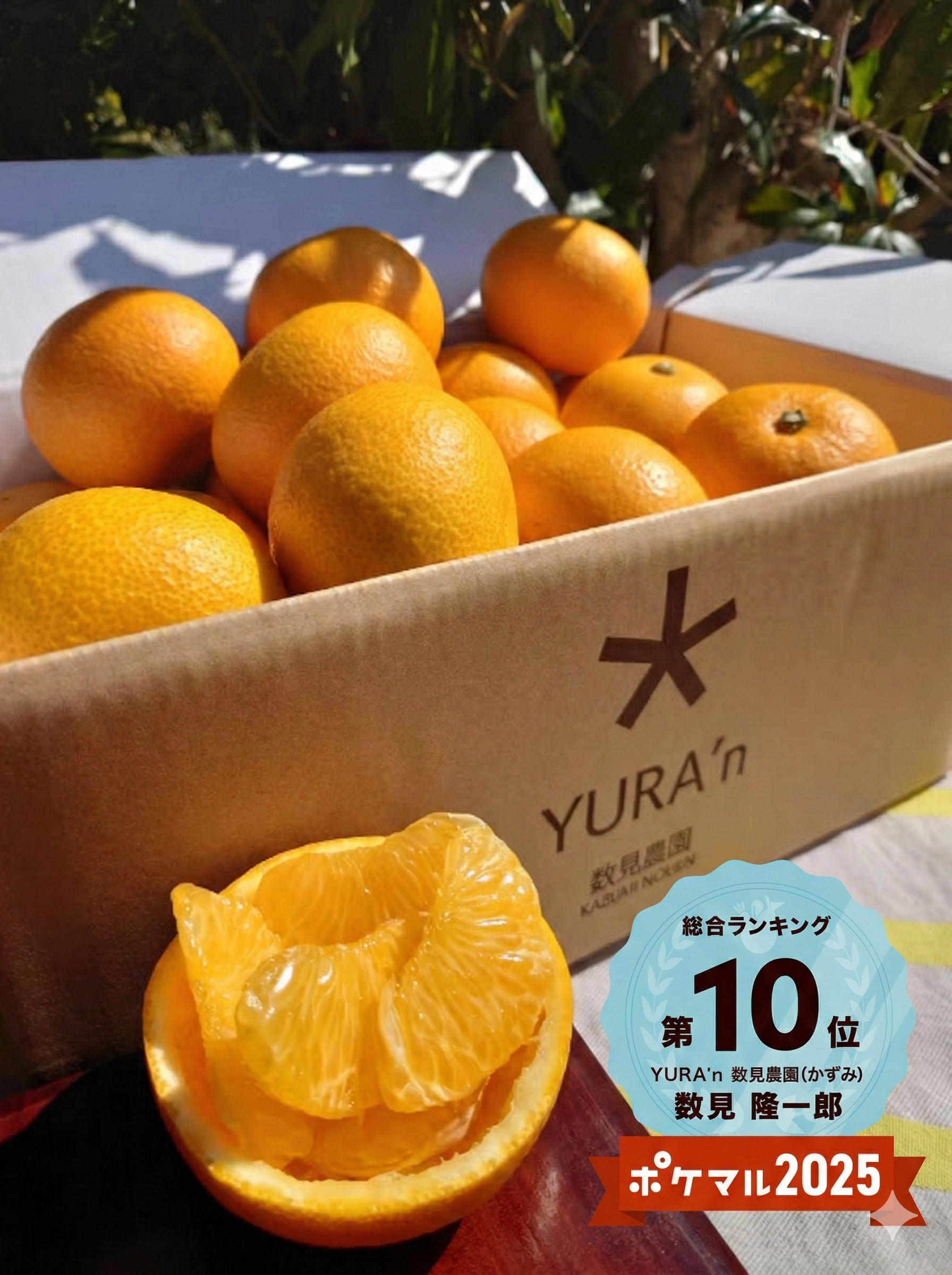 もぎたて八朔 さつき"はっさく"まで待てない!!(贈答用にも使える品物です) 箱込4.5kg(内容量4kgサイズM~L)