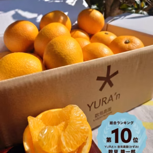 もぎたて八朔　さつき”はっさく”まで待てない!!（贈答用にも使える品物です)