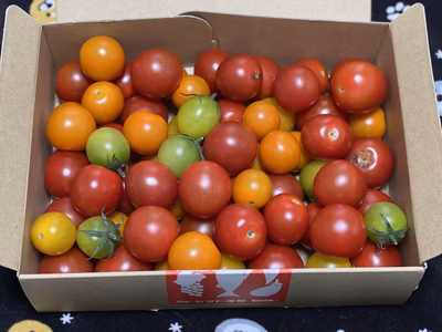 みんなの投稿の画像