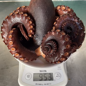 ゲリラ出品！稀少特大タコ　950g 秘伝の茹で汁で茹でた浜茹で地だこ
