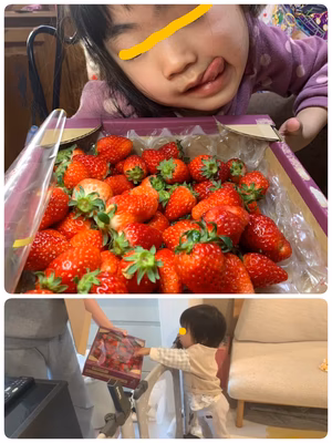 みんなの投稿の画像